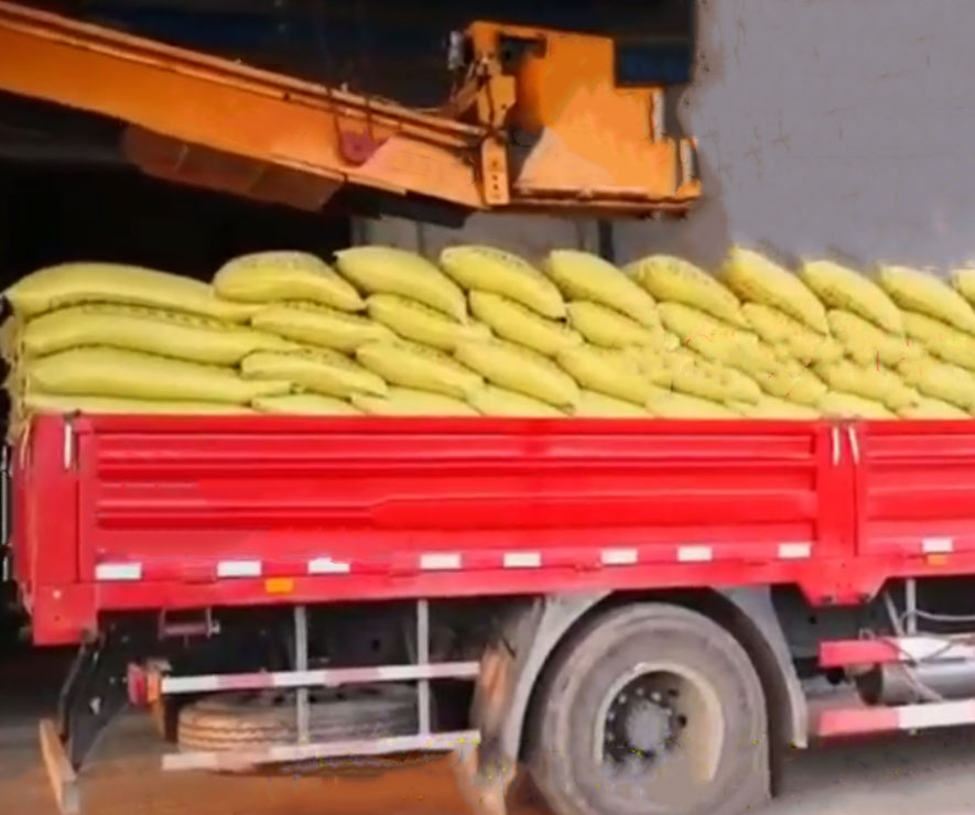 自動裝車機(ji) 碼垛裝車機
