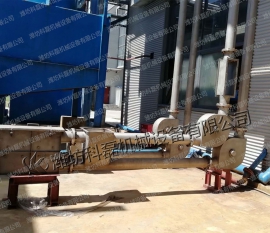 管鏈(lian)輸送機 管鏈(liàn)提升機 客戶(hu)實拍